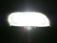 KVBBPb[vou@PLATINUM WHITE@RAYBRIG